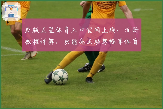 新版五星体育入口官网上线，注册教程详解，功能亮点助您畅享体育新体验