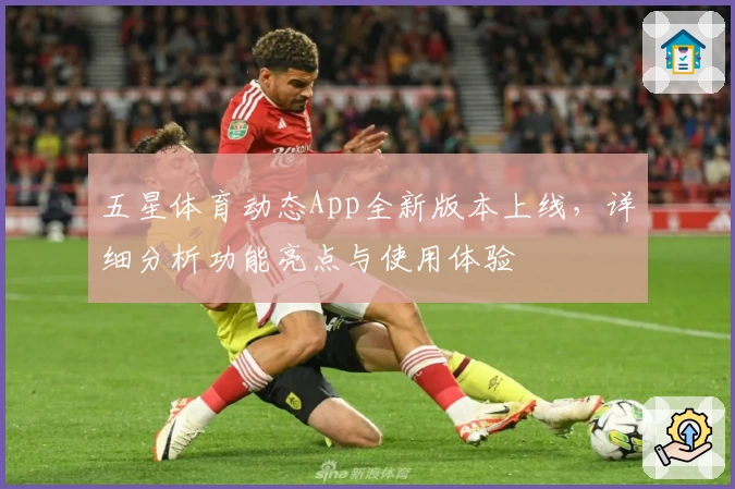 五星体育动态App全新版本上线，详细分析功能亮点与使用体验