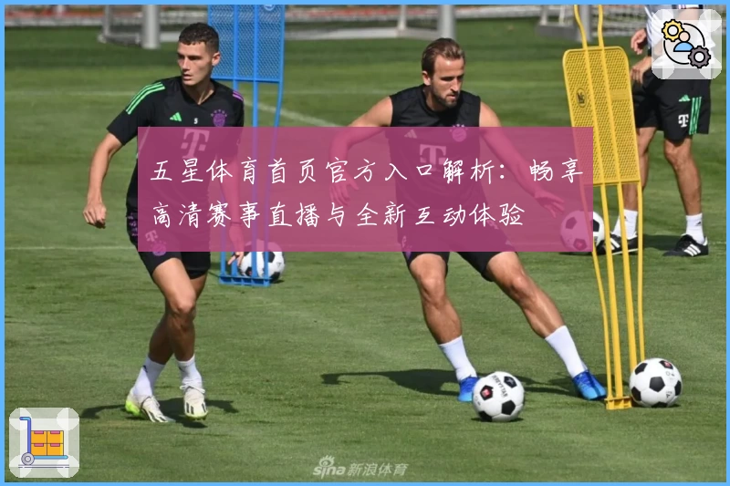 五星体育首页官方入口解析：畅享高清赛事直播与全新互动体验