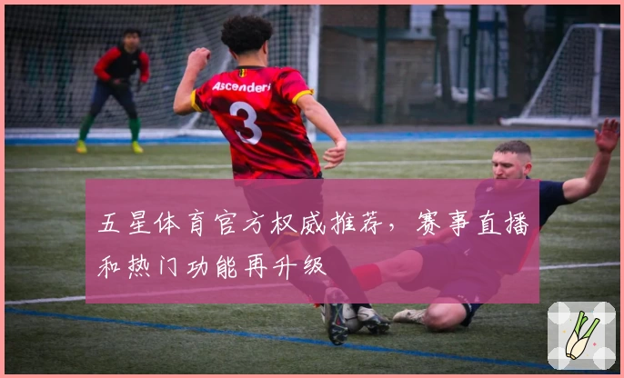 五星体育官方权威推荐，赛事直播和热门功能再升级