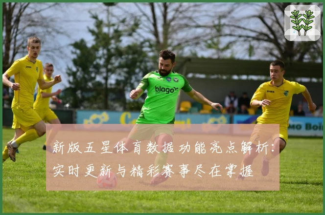 新版五星体育数据功能亮点解析：实时更新与精彩赛事尽在掌握